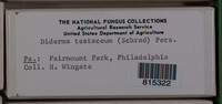Image Associated With the Occurence